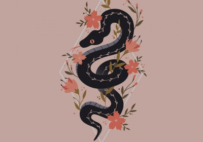 kahve-falinda-yilan-gormek